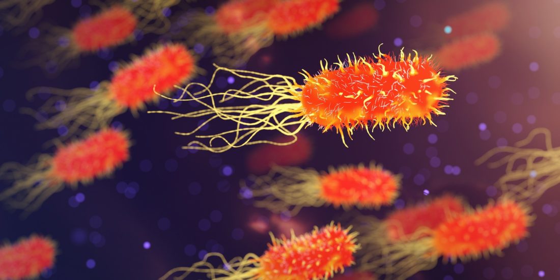 Diagnosi Infezioni da Helicobacter pylori nuovo test